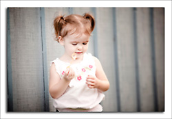 dgmphotography Front Page Image
